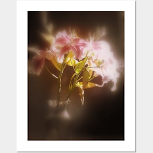 Stargazer Lilies #32 Posters and Art